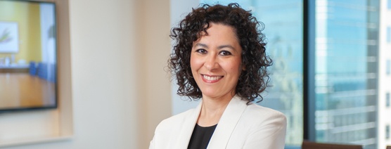 Elsa Manzanares Publishes International Trade Law Update in the Texas Bar Journal