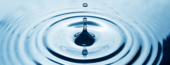 Supreme Court Decision Alters Interpretation of Waters of the United States