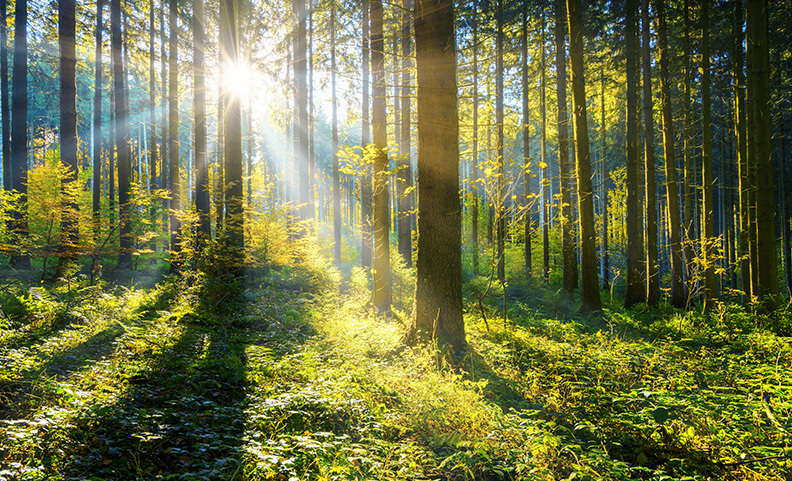 Missouri Lawyers Media Recognizes Stinson Environmental Law Attorneys as Best in State