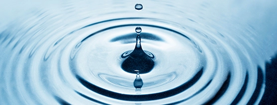 Stinson Director of Well-Being Recognized by Minnesota Lawyer as Unsung Legal Hero